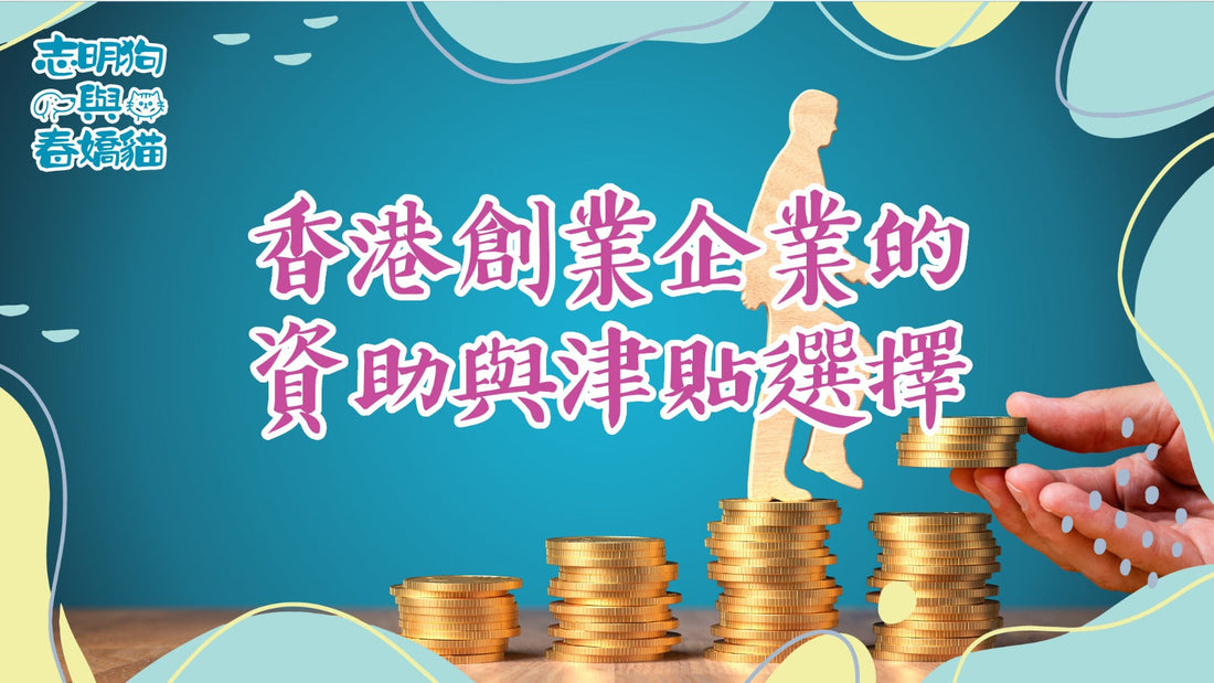 香港創業企業的資助與津貼選擇