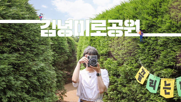 【韓國|主題公園】濟州|金寧迷路公園門票 (Gimnyeong Maze Park)