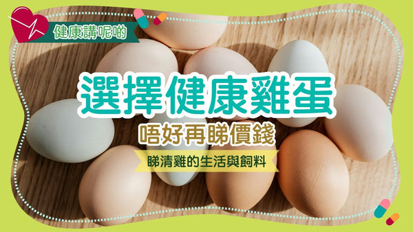 🥚 選擇健康雞蛋:唔好再睇價錢,睇清雞的生活與飼料!