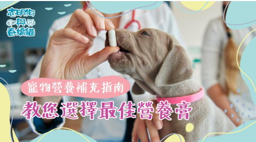 寵物營養補充指南:教您選擇最佳營養膏