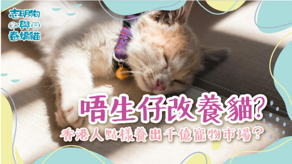 唔生仔改養貓?香港人點樣養出千億寵物市場?