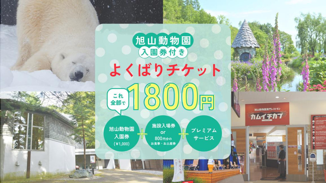 【日本 | 景點門票】北海道・旭川|包含旭山動物園門票・超值組合票券|即時預訂確認