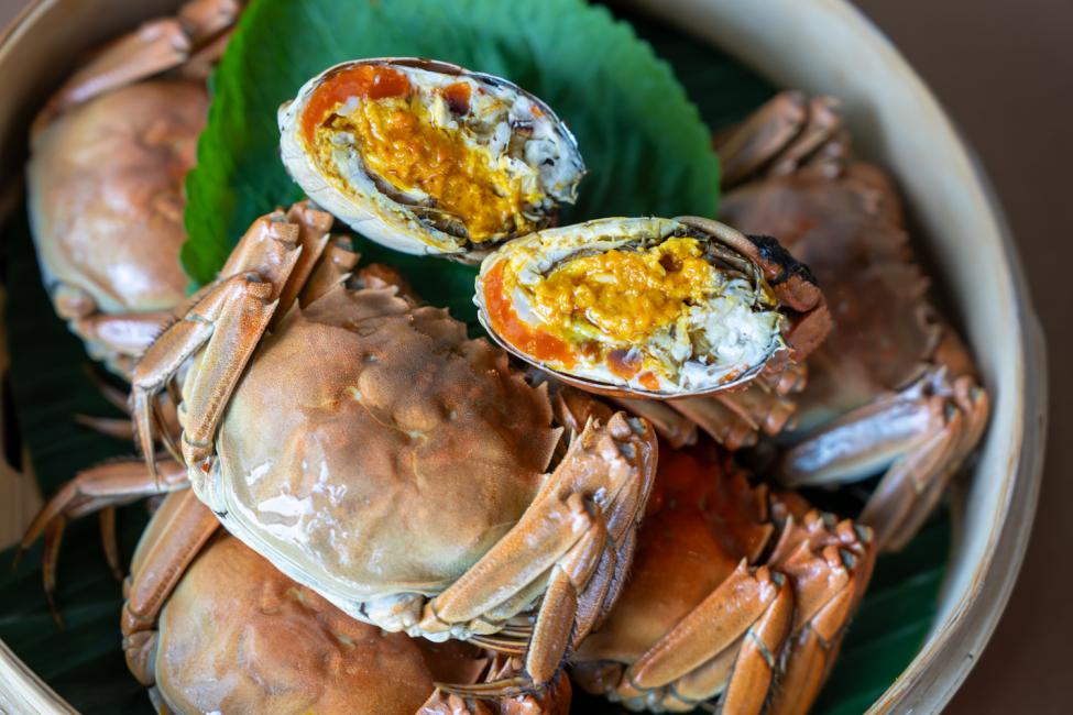 【香港 | 餐飲美食】香港維港凱悅尚萃酒店|The Farmhouse 咖啡廳|自助午餐・自助晚餐|自助餐優惠2024
