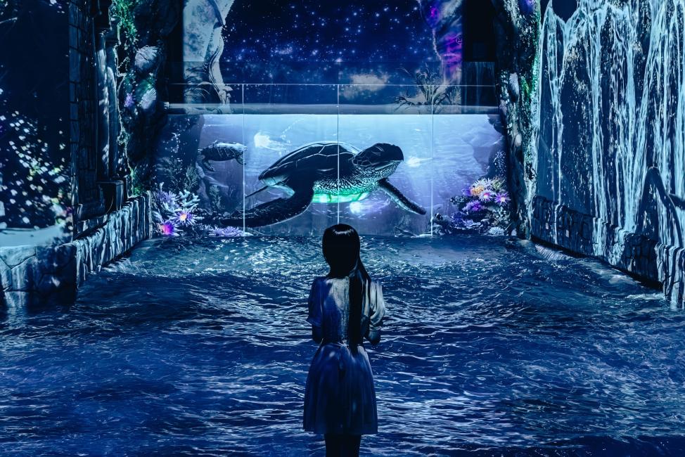 【韓國 | 主題公園】濟州WATERWORLD⽔之幻境 |水媒體藝術公園