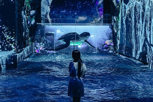 【韓國 | 主題公園】濟州WATERWORLD⽔之幻境 |水媒體藝術公園