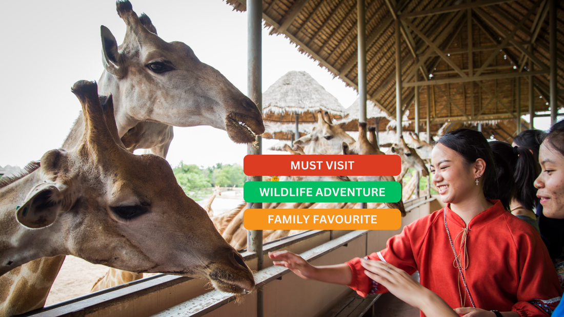 【泰國｜主題公園】曼谷野生動物園 Safari World
