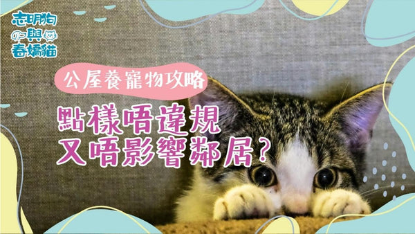 公屋養寵物攻略：點樣唔違規又唔影響鄰居？