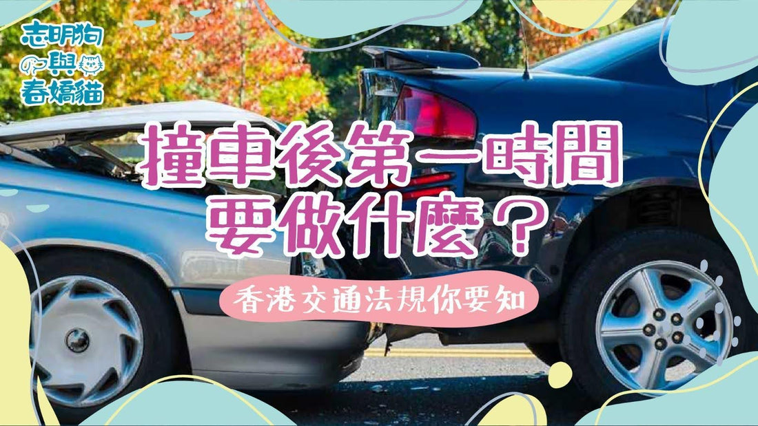 撞車後第一時間要做什麼？香港交通法規你要知