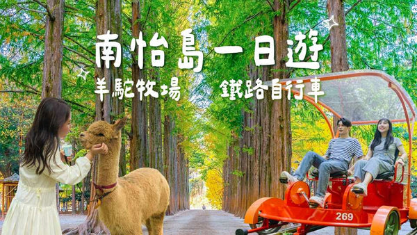 【韓國｜行程＆體驗】江原道一日遊｜羊駝(草泥馬)牧場、 南怡島、晨靜樹木園、三岳山纜車、海棠鳥園、小法國村、義大利村、鐵路自行車、塗鴉秀（首爾出發 )｜夏季限時優惠中