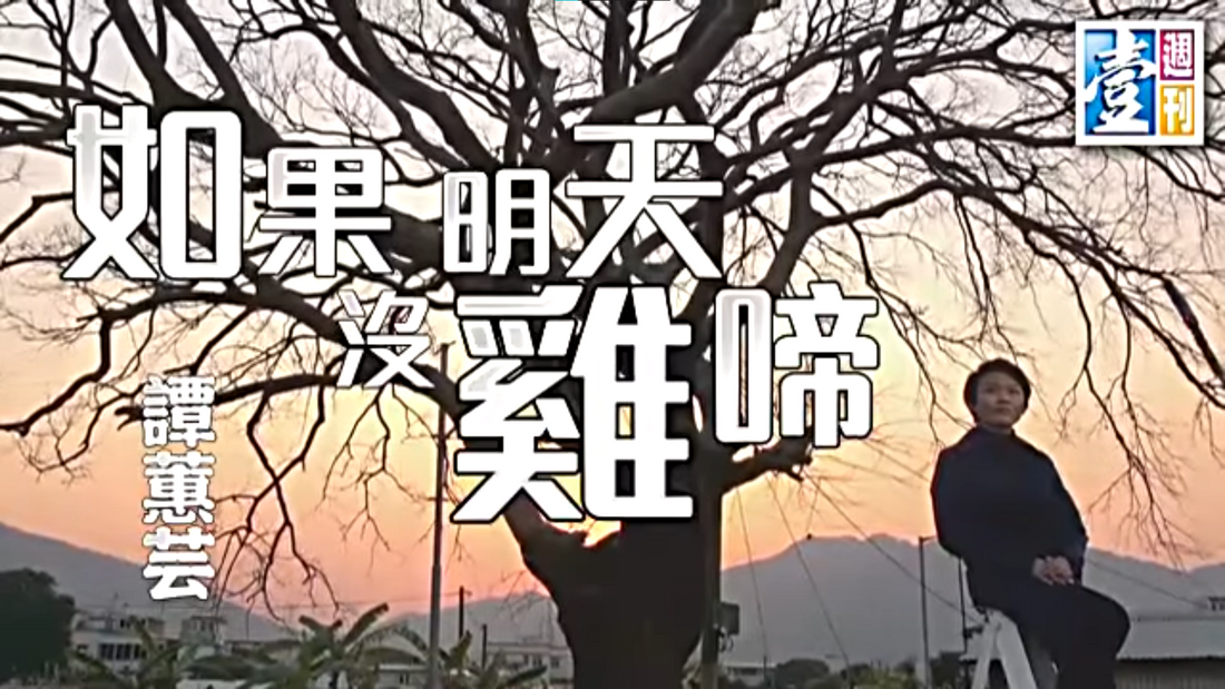 【非常人語】如果明天沒雞啼　譚蕙芸