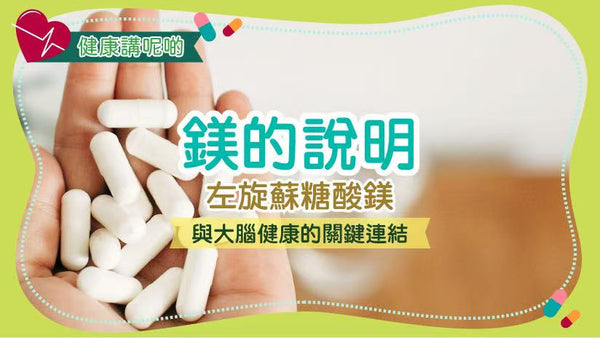 左旋蘇糖酸鎂：針對腦部健康的鎂補充選擇