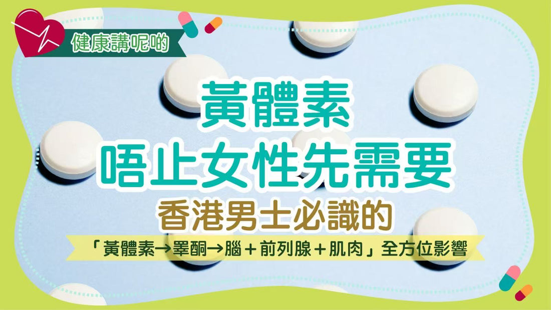 黃體素唔止女性先需要！香港男士必識的「黃體素→睪酮→腦＋前列腺＋肌肉」全方位影響