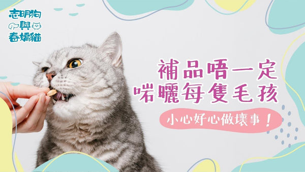 補品唔一定啱曬每隻毛孩，小心好心做壞事！