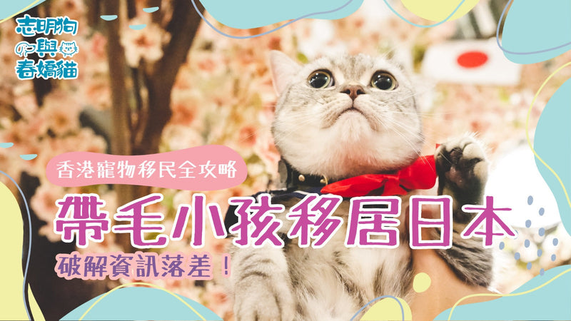 【香港寵物移民全攻略】帶毛小孩移居日本，破解資訊落差！