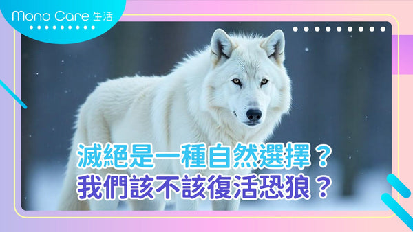 滅絕是否是一種自然選擇？我們該不該復活恐狼？