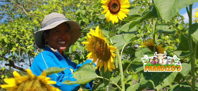 【菲律賓 | 主題公園】 大雅台Paradizoo 動物園&主題農場門票