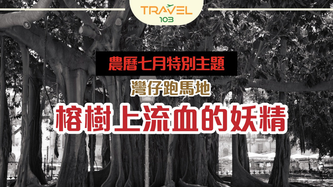 農曆七月特別主題：灣仔跑馬地—榕樹上流血的妖精