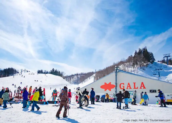 【日本 | BLOG】東京即日來回滑雪體驗🏂