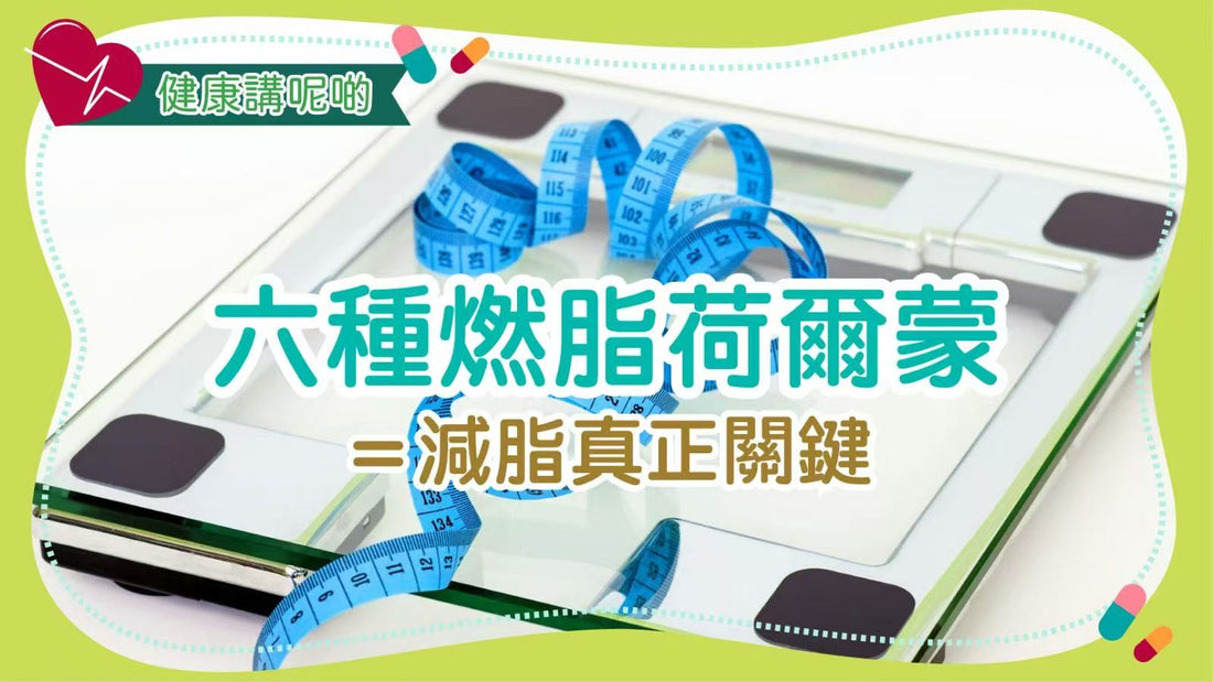 🧠 六種燃脂荷爾蒙＝減脂真正關鍵