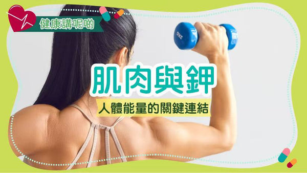 肌肉與鉀：人體能量的關鍵連結