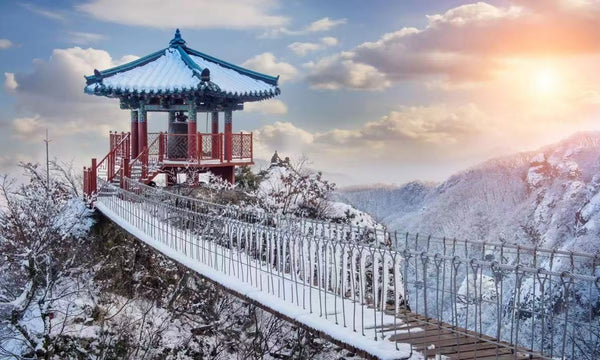 【65+老友記專享】HK Express 超抵優惠！24個航點單程$65起！日本、韓國單程$165起！明年6月30日前出發！