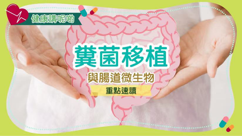 糞菌移植（FMT）與腸道微生物：重點速讀