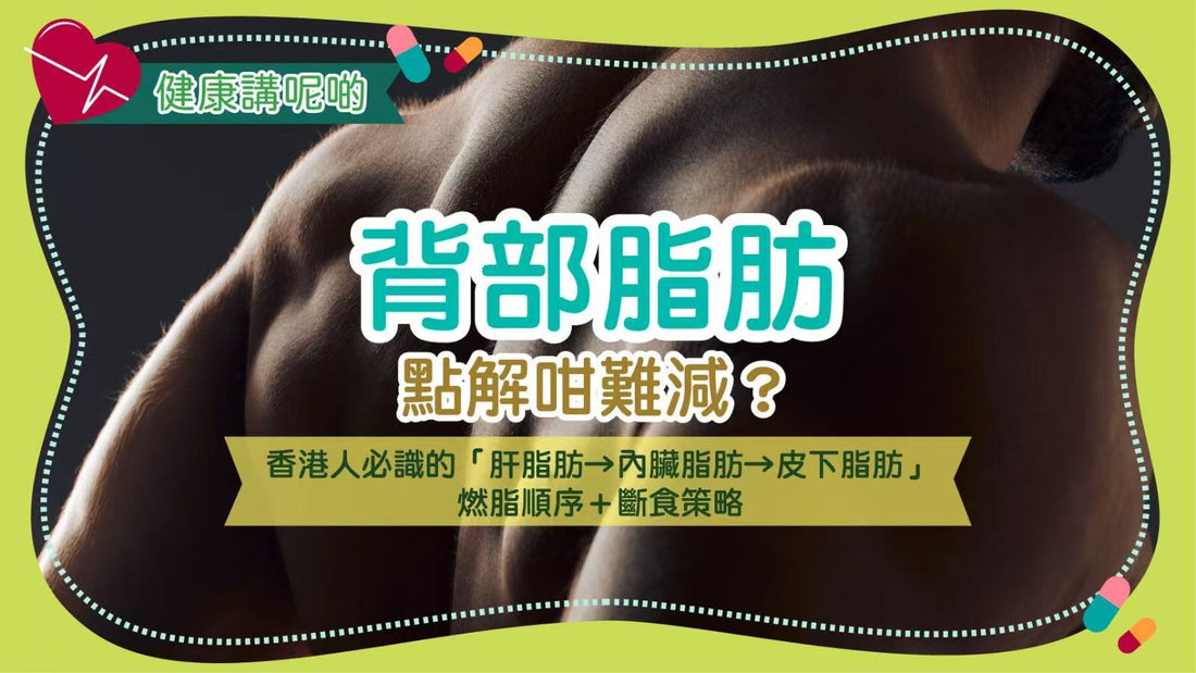 背部脂肪點解咁難減？香港人必識的「肝脂肪→內臟脂肪→皮下脂肪」燃脂順序＋斷食策略