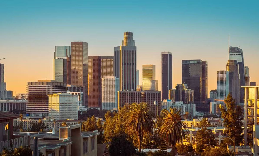 【聯合航空洛杉磯超值優惠】直飛美國來回只需$4,847起！預定機票，享豪華服務與豐富福利