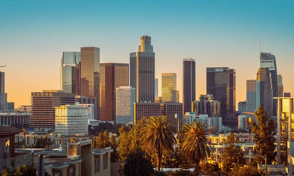 【聯合航空洛杉磯超值優惠】直飛美國來回只需$4,847起！預定機票，享豪華服務與豐富福利