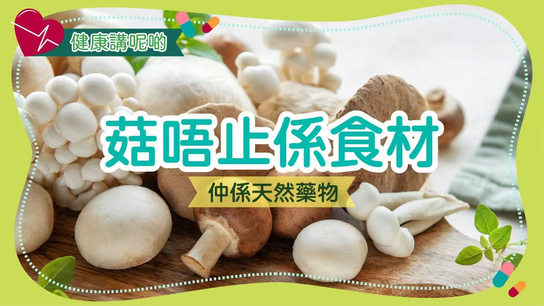 🧠 菇唔止係食材，仲係天然藥物