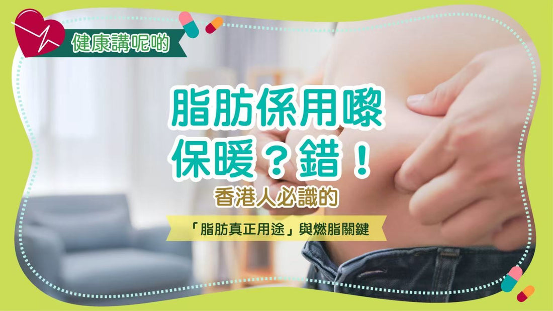 「脂肪係用嚟保暖」？錯！香港人必識的「脂肪真正用途」與燃脂關鍵