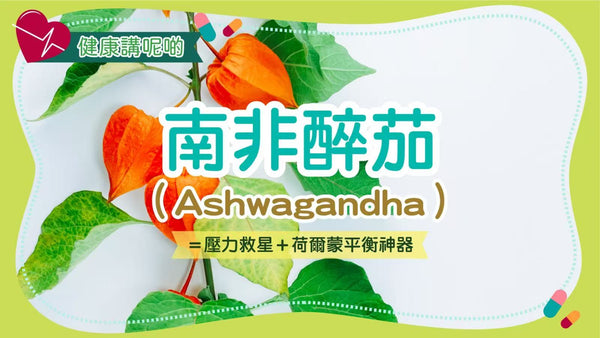 🧠 南非醉茄（Ashwagandha）＝壓力救星＋荷爾蒙平衡神器