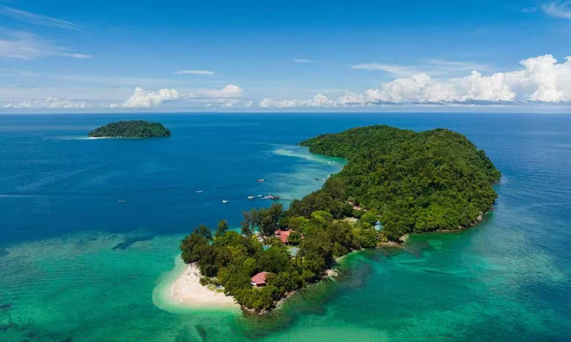 【新粉紅航空登場？】婆羅洲航空明年1月正式升空！計劃直飛香港、多個日本／韓國城市！