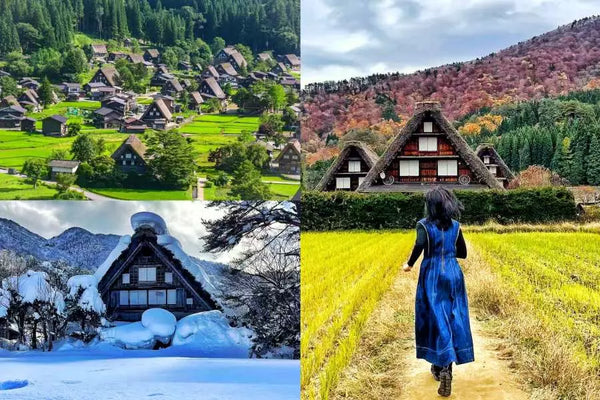 【日本｜名古屋出發一日遊】世界遺產 白川鄉合掌造村落 + 高山古街深度探訪（單人可成團）