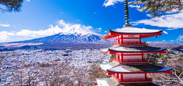 【日本 | 行程＆體驗】日本・東京｜富士山箱根伊豆鐮倉二日遊｜五合目・新倉山淺間公園+河口湖天上山公園纜車+大湧谷+蘆之湖・海上鳥居・箱根神社+修善寺+大室山+江之島+江之電體驗・鐮倉高校・湘南海岸｜中英日三語導遊