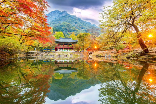 【韓國｜行程＆體驗】[早鳥 6 折] 內藏山國家公園秋葉一日遊(首爾、釜山出發)