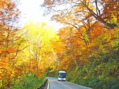 【日本｜北陸深度遊】黑部立山＆上高地＆白川鄉＆飛驒高山＆兼六園一日遊（名古屋出發）