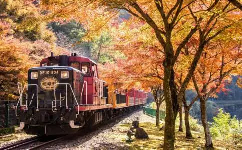 【日本｜行程&體驗】大阪出發一日遊｜嵐山 + 奈良公園 + 伏見稻荷大社