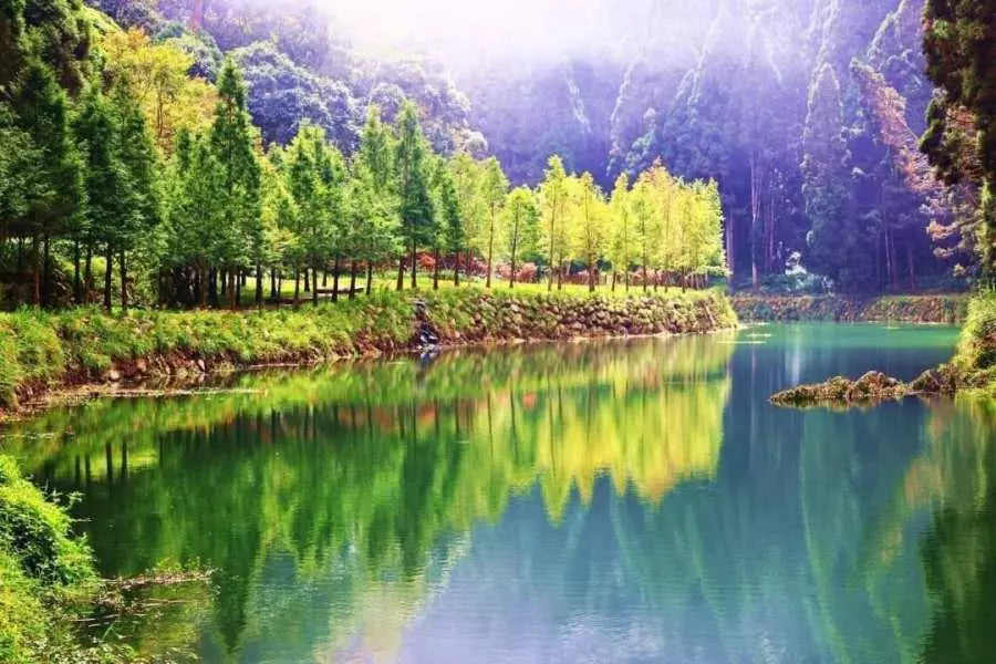 【台灣｜行程&體驗】臺中出發一日遊｜大崙山觀光茶園＋德興瀑布＋步馬花園