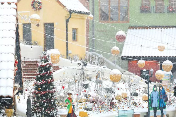 【韓國｜首爾出發自然療癒一日遊】春川南怡島·坡州Herb Island·小法國村＋鐵道單車（含接送）【1 人成團】