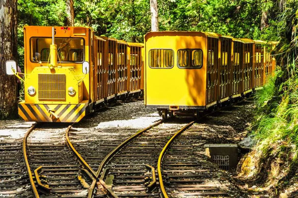 台灣｜宜蘭太平山一日遊 探訪太平山步道•蹦蹦車森林鐵道•鳩之澤溫泉輕旅行【2人成團】
