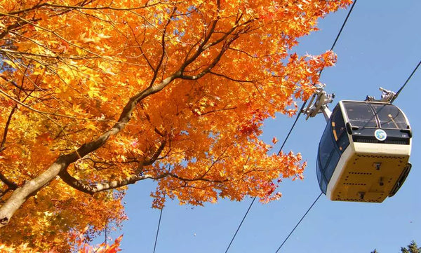 【日本｜行程&體驗】東京出發一日遊｜富士山＆箱根海盜船＋繩索空中纜車＋溫泉谷探險