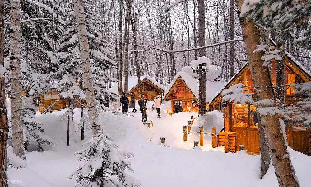 【日本｜行程&體驗】北海道雪樂園一日遊｜四季彩之丘＋森林精靈露台＋美瑛聖誕樹／白鬚瀑布（札幌出發）