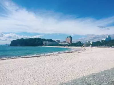 【日本｜行程&體驗】大阪出發一日遊｜白濱（Shirahama）＋三段壁＋千疊敷＋砥呂呂魚市場