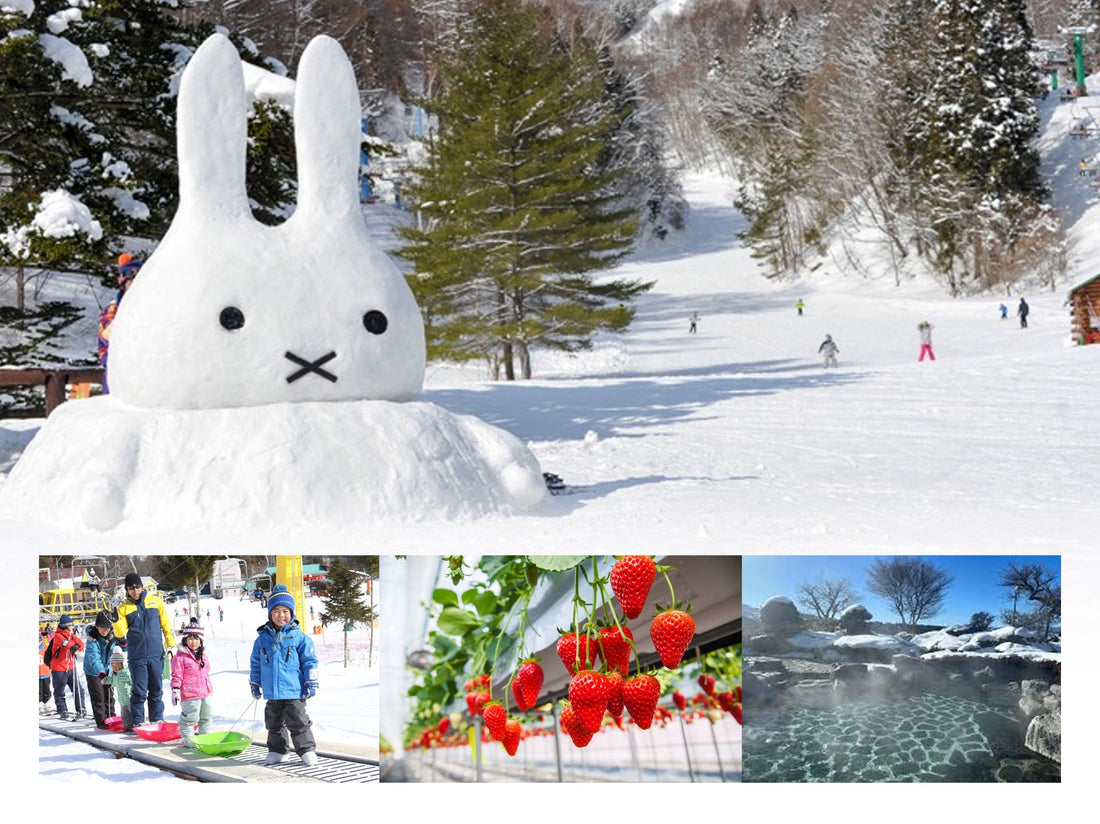 【日本｜行程＆體驗】Katashina高原玩雪＆天然溫泉/採草莓特色一日遊 （東京出發）