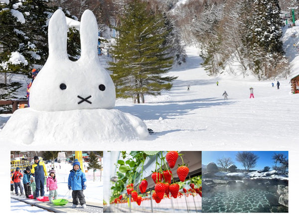 【日本｜行程＆體驗】Katashina高原玩雪＆天然溫泉/採草莓特色一日遊 （東京出發）