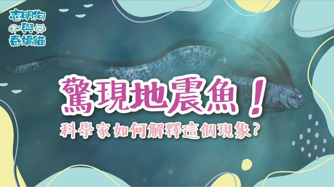 驚現地震魚！科學家如何解釋這個現象？