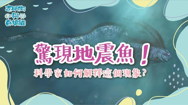 驚現地震魚！科學家如何解釋這個現象？